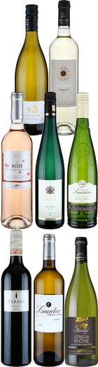 12 Flaschen Sparpaket &raquo;Der Jahrgang 2017&laquo; Friedrich Krot&eacute; - Probierpakete