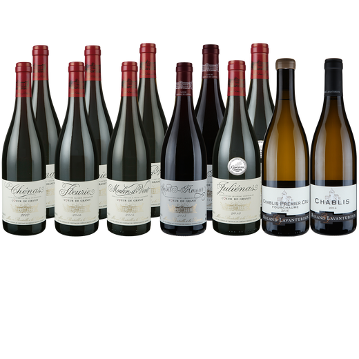12 Flaschen Sparpaket &raquo;Bourgogne - Beaujolais&laquo;