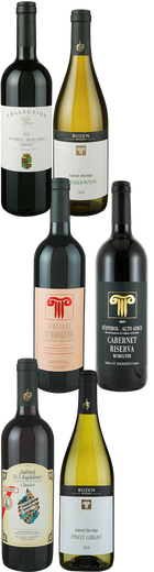 12 Fl. Entdeckerrpaket &raquo;S&uuml;dtirol&laquo; Kellereigenossenschaft Sankt Magdalena - Bozen