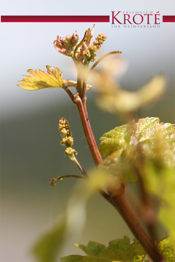 Gru&szlig;karte mit Ihrem Text