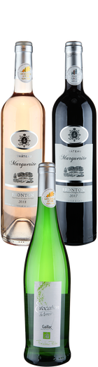 12 Flachen Probierpaket Fronton-Gaillac